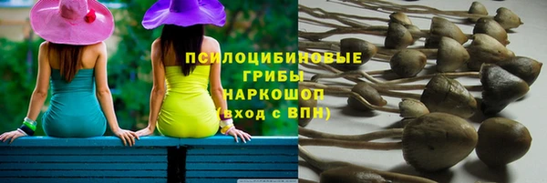 амф Алзамай
