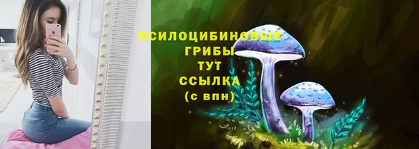 амф Алзамай