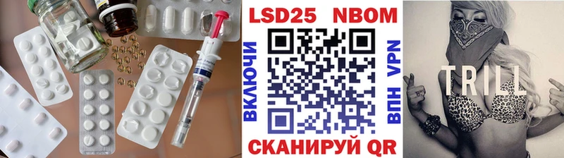 продажа наркотиков  Канаш  Лсд 25 экстази кислота 